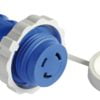 Plug + cable 15 m blue 30 A - Artnr: 14.334.15 1