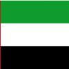 Flag UAE 20x30 - Artnr: 35.434.01 2
