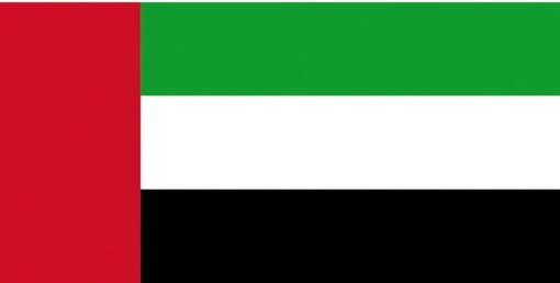 Flag UAE 40x60 - Artnr: 35.434.03 3