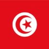 Flag Tunisia 30x45cm - Artnr: 35.438.02 1